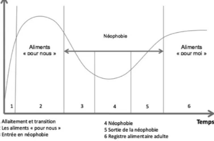 Figure 9 :  Du lait au registre alimentaire adulte 