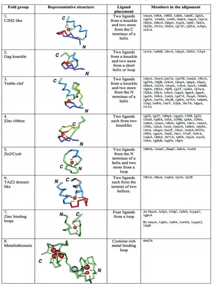 Table 2 : Classification des motifs à doigts de zinc selon krishna et collaborateurs 
