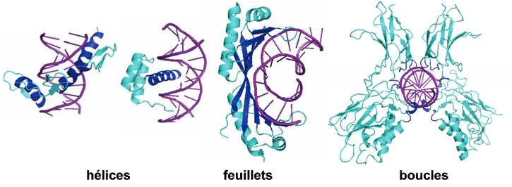 Figure 23 : Différents éléments de reconnaissance 