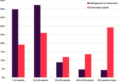 Figure 7: Répartition des hôtels par effectifs