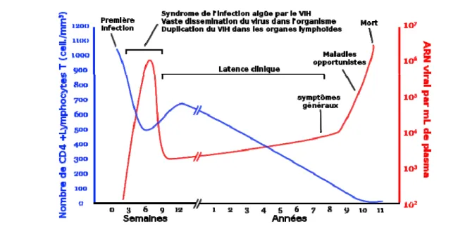 Figure 2: Progression schématique de l’infection par le VIH adaptée de Weiss et al, 1993