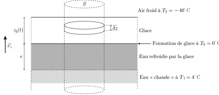 Figure 3 – L’oc´ean sous la banquise en formation