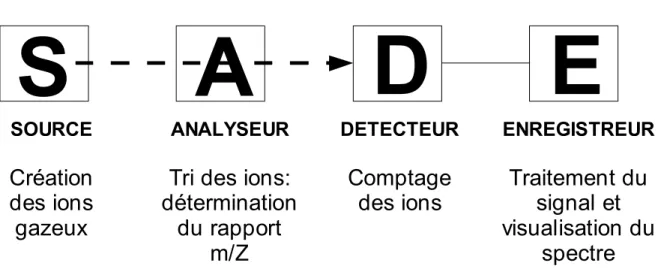 Figure 8: Schéma simplifié d'un spectromètre de masse