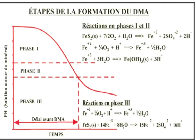 Fig. 13. Les phases de la formation du drainage minier acide 