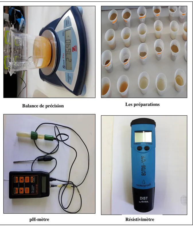 Fig. 20 Appareillage utilisé dans la méthode pH de PATE 