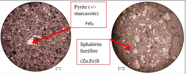 Fig. 24 Minéralogie des déchets miniers observée sous le microscope métallographique 