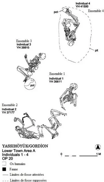 Figure 12 Plan de répartition des dépôts de restes humains et animaux 1,  2, 3 et 4, dans le secteur A (d’après Voigt, 2012)