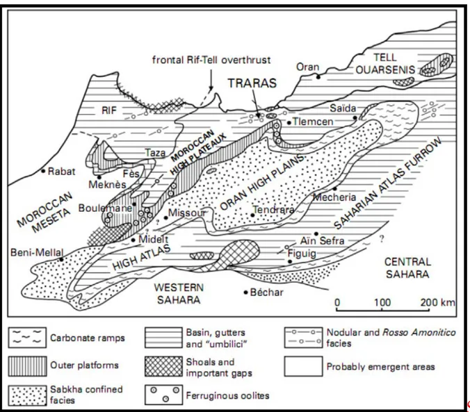 Fig. II.5 : Place des Monts des Traras dans la carte paléogéographique de l’Algérie      occidentale et du Maroc pendant le Toarcien (d’après ELMI et BENSHILI, 1987)