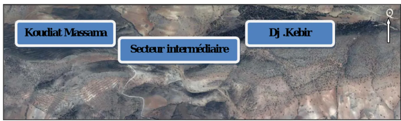 Fig. IV.3 : Photo de Google Earth montre les subdivisions de la structure E-W. 