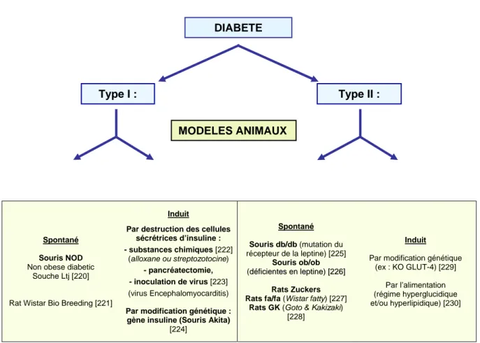 Figure 8 : Exemples de modèles expérimentaux de diabète chez le rat et la souris 