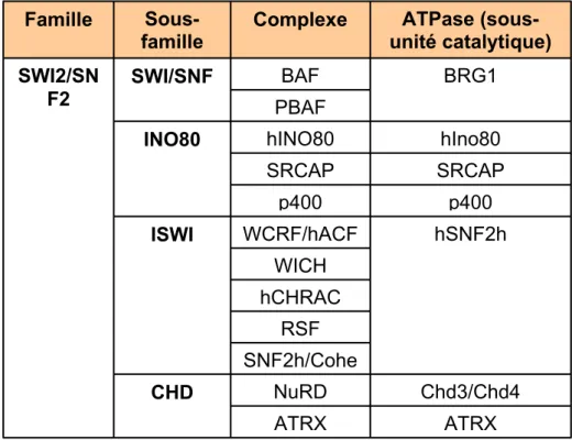 Figure 5 : Remodelage de la chromatine ATP-dépendant 