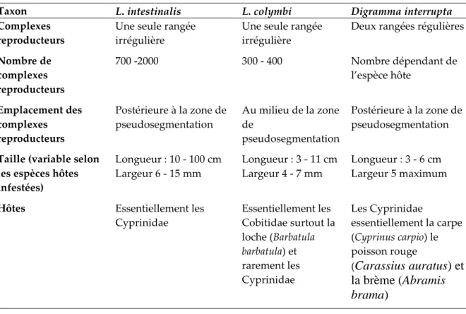 Tableau  4:  Les  caractéristiques  essentielles  différenciant  le  genre  Digramma  de  Ligula   et l’espèce L