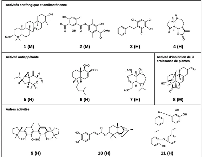 Figure 11 : Diversité et originalité chimiques de quelques substances bioactives isolées à partir d’extraits 