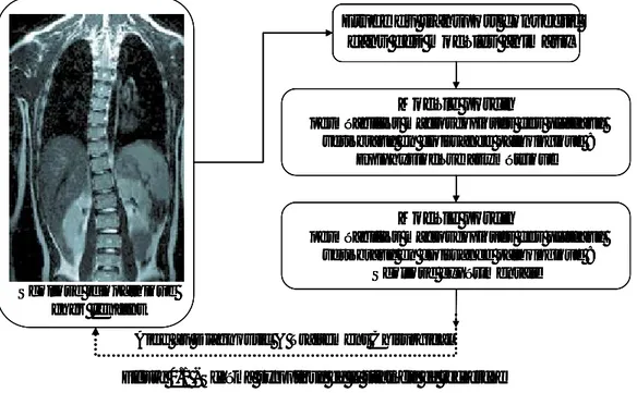 Figure 0.1 - Schéma synoptique de la stratégie de rechercheAide au Diagnostic &amp; Traitement Chirurgical