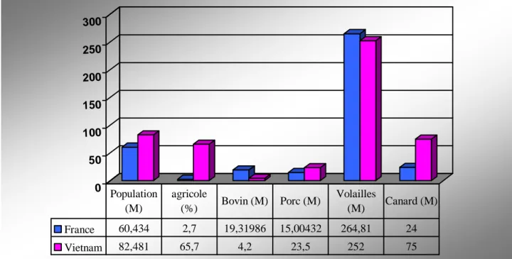 Figure  3 :  Comparaison  de  la  population  et  des  productions  animales  principales entre la France et le Vietnam en 2004 (FAO, 2004) 