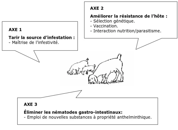 Figure 4. Les trois principaux axes de lutte contre les nématodes gastro-intestinaux et les méthodes alternatives correspondantes.