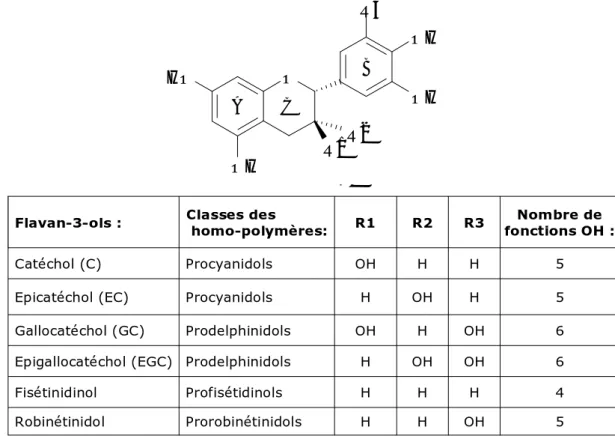 Figure 7. Structure chimique des différents flavan-3-ols et classes des homo- homo-polymères correspondants