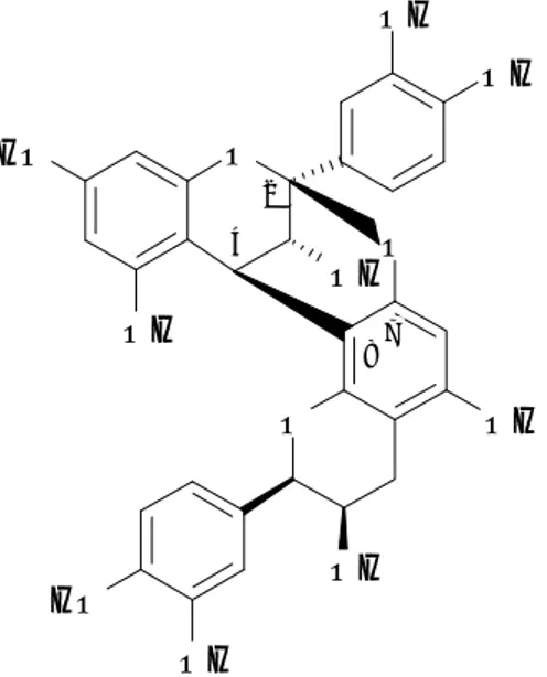 Figure 10 Etapes de la biosynthèse des tannins condensés selon Aerts et al. (1999).