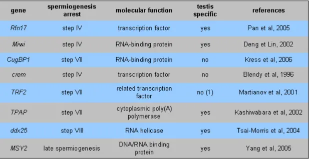 Table III: Gene mutations leading to spermiogenesis arrest 