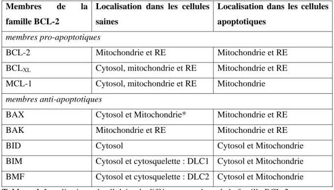 Tableau 4: Localisation subcellulaire de différents membres de la famille BCL-2. 