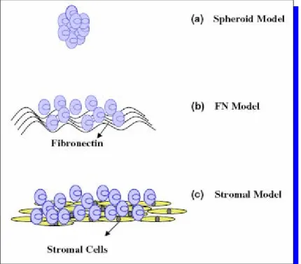 Figure 13 : La résistance cellulaire au drogues est due à trois types d’interaction matrice-