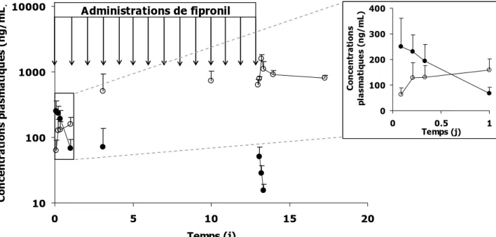 Figure 3 : Evolution des concentrations plasmatiques moyennes de fipronil et fipronil  sulfone chez le rat lors d’un traitement au fipronil 