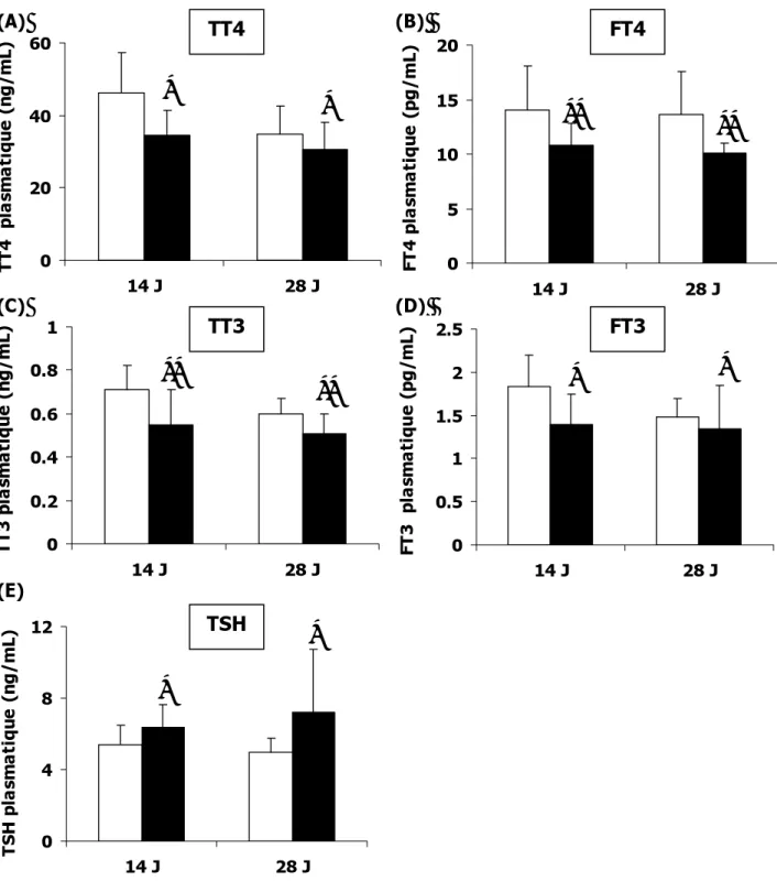 Figure 4 : Effet d’un traitement au fipronil à 14 et 28 jours sur les concentrations  plasmatiques moyennes des HT et de TSH 