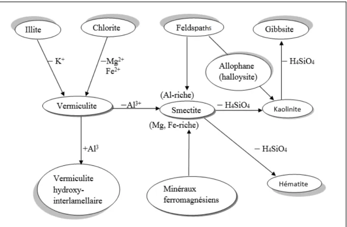 Figure 1.Transformations des minéraux argileux.  