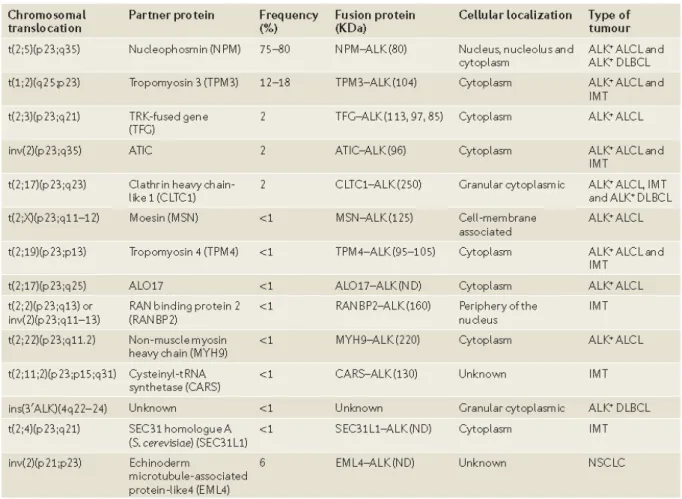 Tableau 3  : Tableau récapitulatif des différentes translocations chromosomiques  impliquant ALK (Source : Chiarle, R, Nat Rev Cancer, 2008 291 )