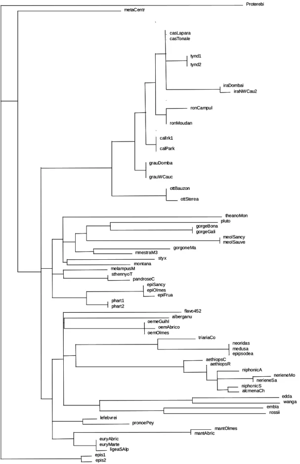 Figure 1. Maximum Likelihood tree reconstruction obtain without the 3rd codon position