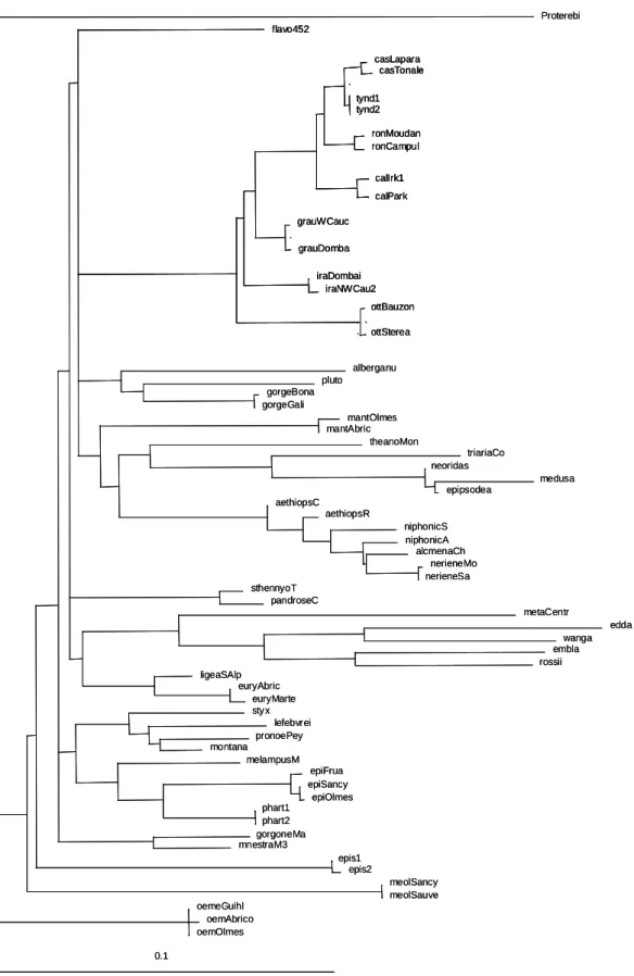 Figure 2. Maximum Likelihood tree reconstruction obtained with the 3rd codon position