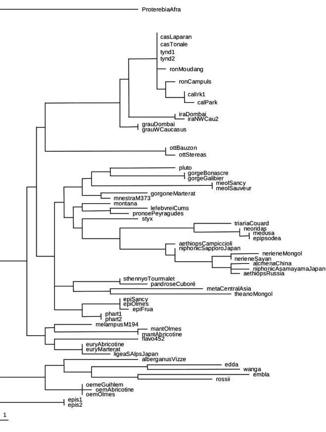 Figure 4. Tree reconstruction obtained by using protein data. 