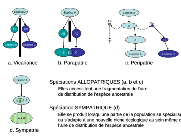 Figure 4. Principaux modes de spéciations. 