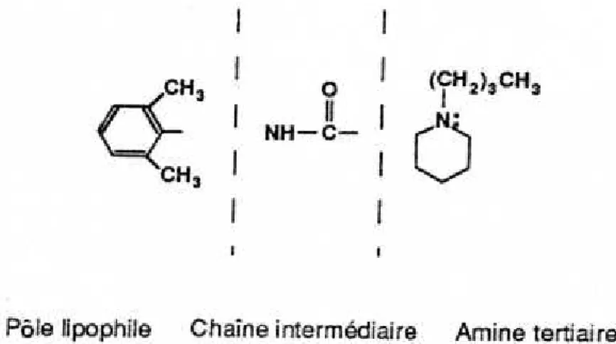 Figure 1. Structure fondamentale des AL de type amide 
