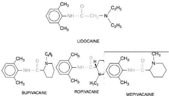 Figure 2. Structure chimique des principaux AL 