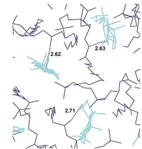 Figure 3.7: Cholesterol molecules form hydrogen bonds with neighbouring lipids (d O−O = 2.6 Å)