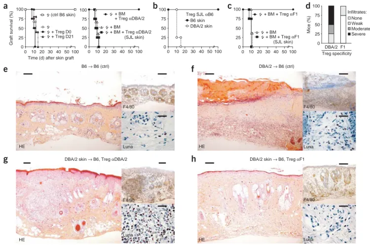 Figure 2 Tregs prevent acute and chronic skin allograft rejection. (a) Skin allograft survival, as monitored daily by assessment of macroscopic signs of rejection, in mice grafted under different conditions