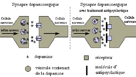 Figure 1 : Structure de la chlorpromazine 