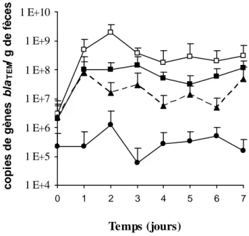 Figure 4 : Nombre de copies de gènes bla TEM /g de fèces 