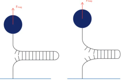 Figure 5 – Schéma du système considéré, ainsi que les forces s’appliquant sur celui-ci