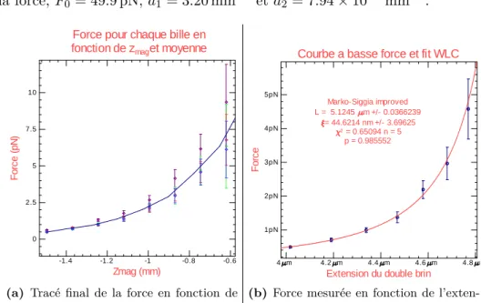 Figure 9 – Force mesurée en fonction de z mag et de l’extension, et modélisation à l’aide du modèle worm-like