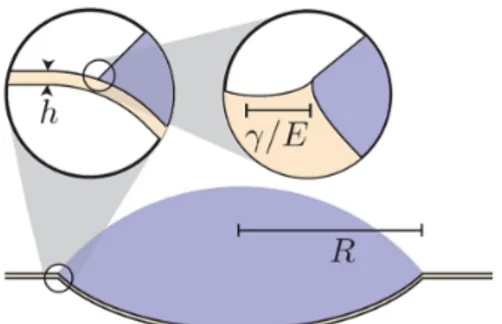 Figure 1 Goutte de taille R sur une fine membrane d’´ epaisseur h. La courbure de la membrane, qui semble discontinue, varie en r´ ealit´ e sur une ´ echelle typique l B = pB/γ (premier zoom)