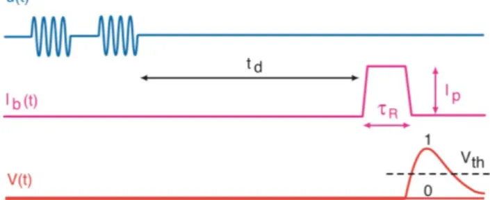 Figure 3 : Signaux impliqués dans le traitement et la mesure des états