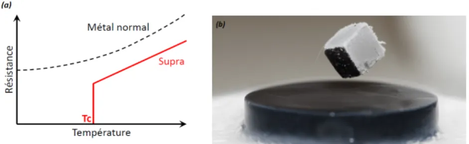 Figure 1  (a) Schéma de la résistance électrique en fonction de la température pour un métal (courbe noire pointillée) et un matériau supraconducteur (rouge)