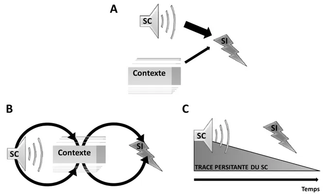 Figure O-1: Représentation schématique du mode d’association du SC et du SI. A : Lors d’un  conditionnement de délai, le SC et le SI sont contigus