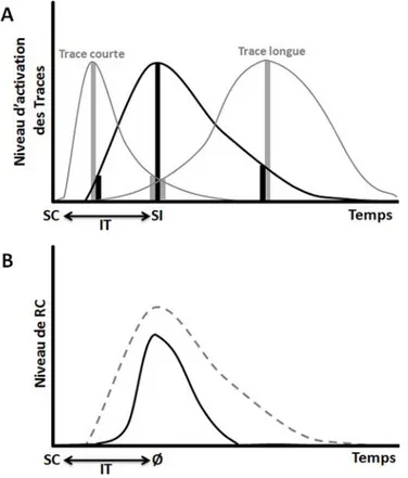 Figure O- 3 : Modèle Spectral. A : Niveau d’activation de plusieurs Traces déclenchées par le  même SC en fonction du temps