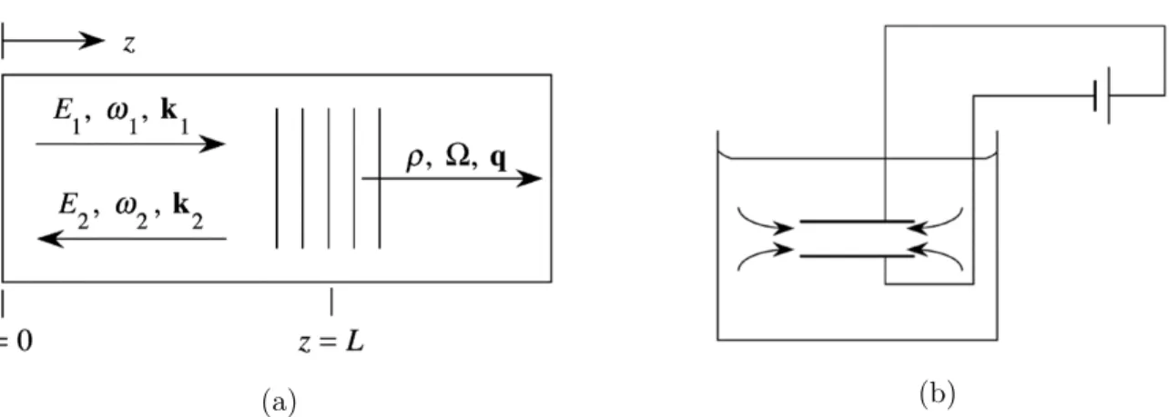 Figure 2 – (a) Diffusion Brillouin stimulée : une onde électromagnétique incidente ~ E 1 