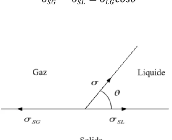 Figure 1 : Représentation schématique de la ligne triple à l’interface liquide, gaz, solide ainsi que les  forces tendant à minimiser les interfaces
