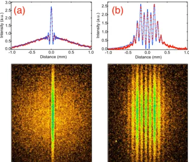 Fig. 5. Examples of interference patterns observed in the