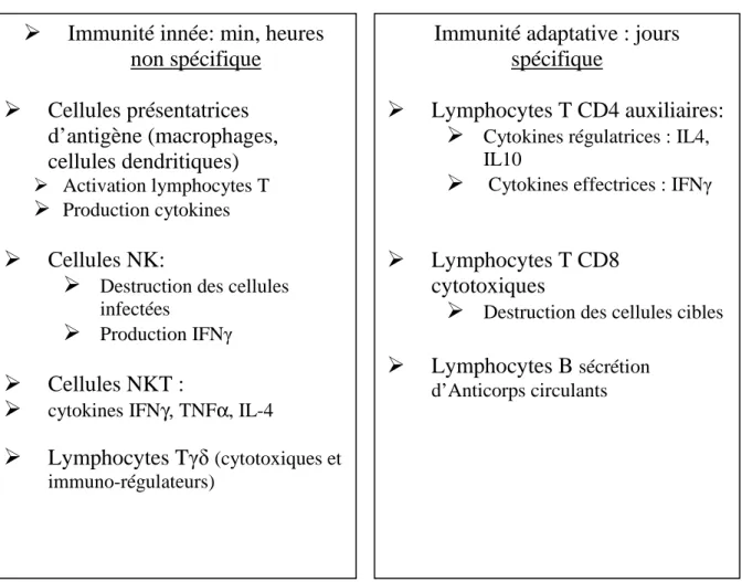 Tableau 1: Principales cellules du système immunitaire